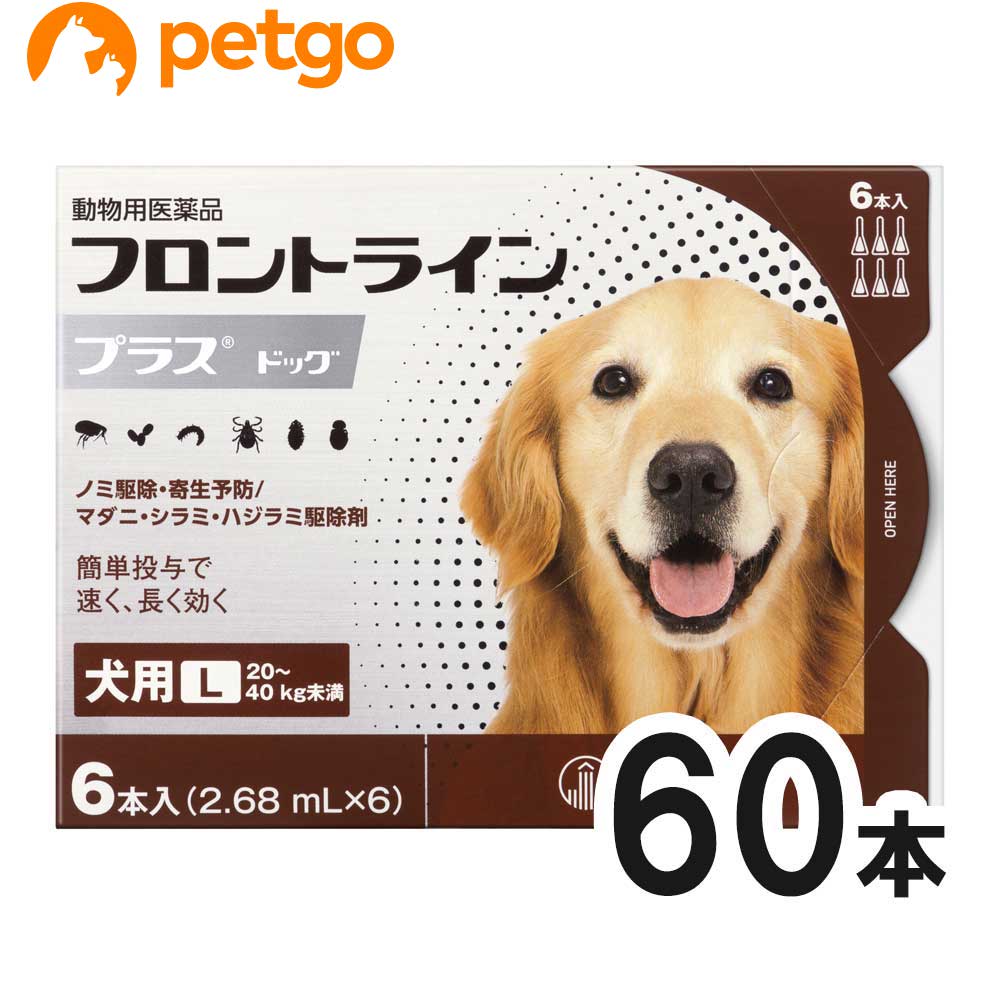 最高の 楽天市場 10箱セット 犬用フロントラインプラスドッグl kg 40kg 6本 6ピペット 動物用医薬品 あす楽 ベッツ楽天市場店 海外最新 Lexusoman Com