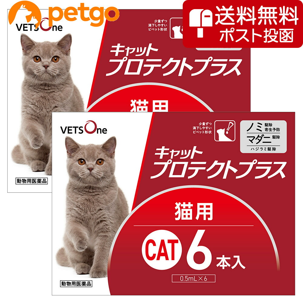 市場 プロフェンダースポット 0.35mL 猫用 2本 スポットタイプ 1箱