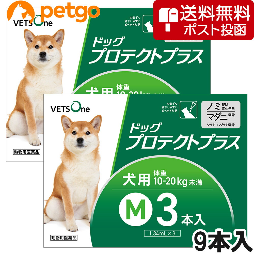 ネコポス 同梱不可 ベッツワン ドッグプロテクトプラス 犬用 M 10kg kg未満 9本 動物用医薬品 あす楽 フロントラインプラスのジェネリック医薬品です 命にかかわる大腸がんが5 上がれば Diasaonline Com