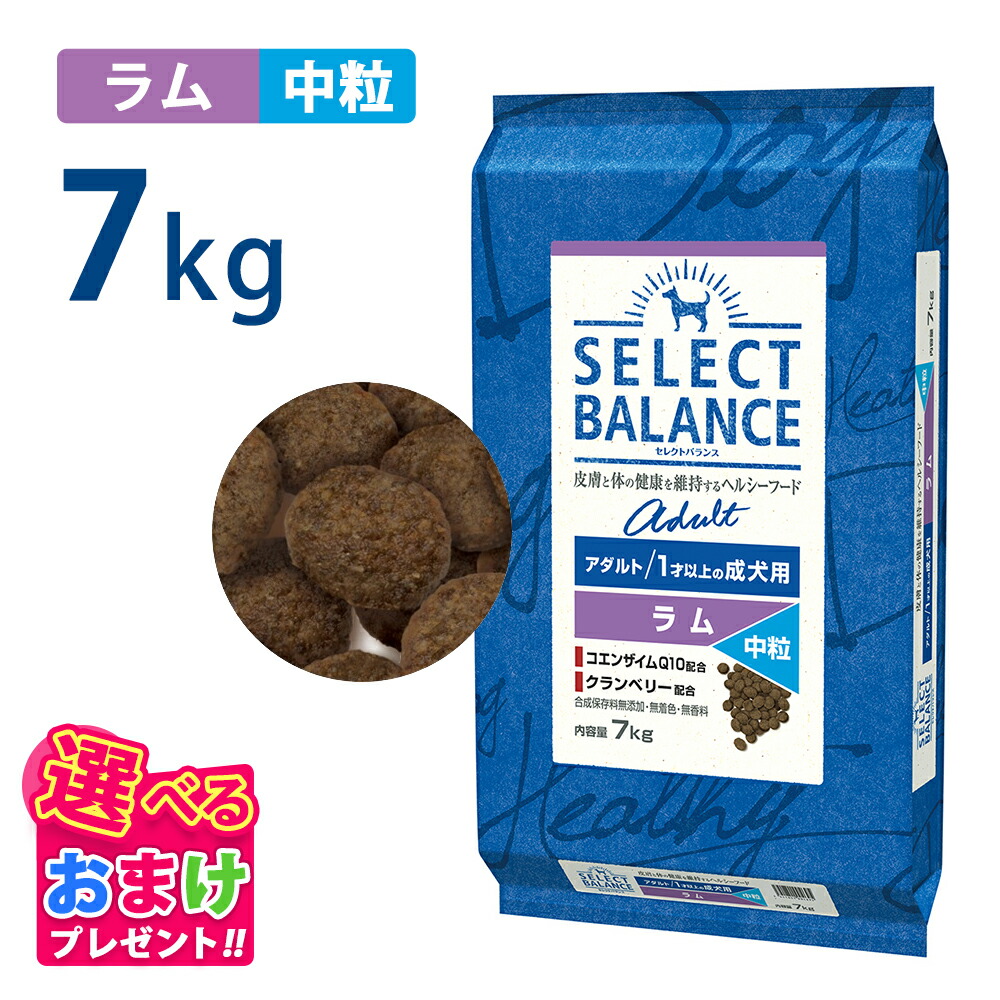 10％OFF クーポン おまけ付き セレクトバランス アダルト ラム 中粒 7kg 7キロ 成犬用 ドッグフード 犬 イヌ 成犬 ペット 健康 無着色 無香料 無添加 総合栄養食｜ペッツチョイスショップ 7,841円