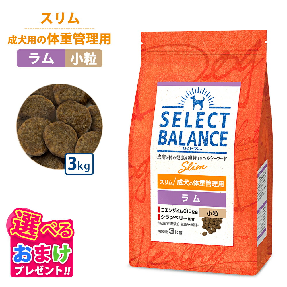 セレクトバランス　アダルト　ラム　3kg×2 楽天市場】410円OFF クーポン おまけ付きセレクトバランス