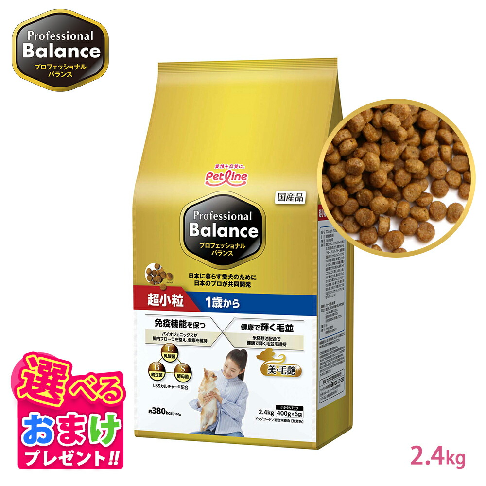 プロフェッショナルバランス一歳から6キロ ×2 送料無料】プロフェッショナル・バランス 1歳から 6kg（500g×12
