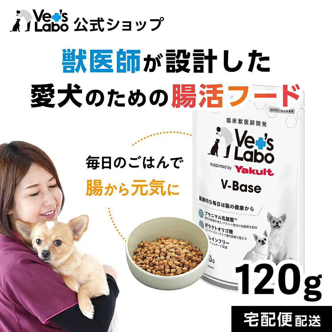楽天市場】公式 V-Base ブイベース 犬用 800g 【Vet's Labo