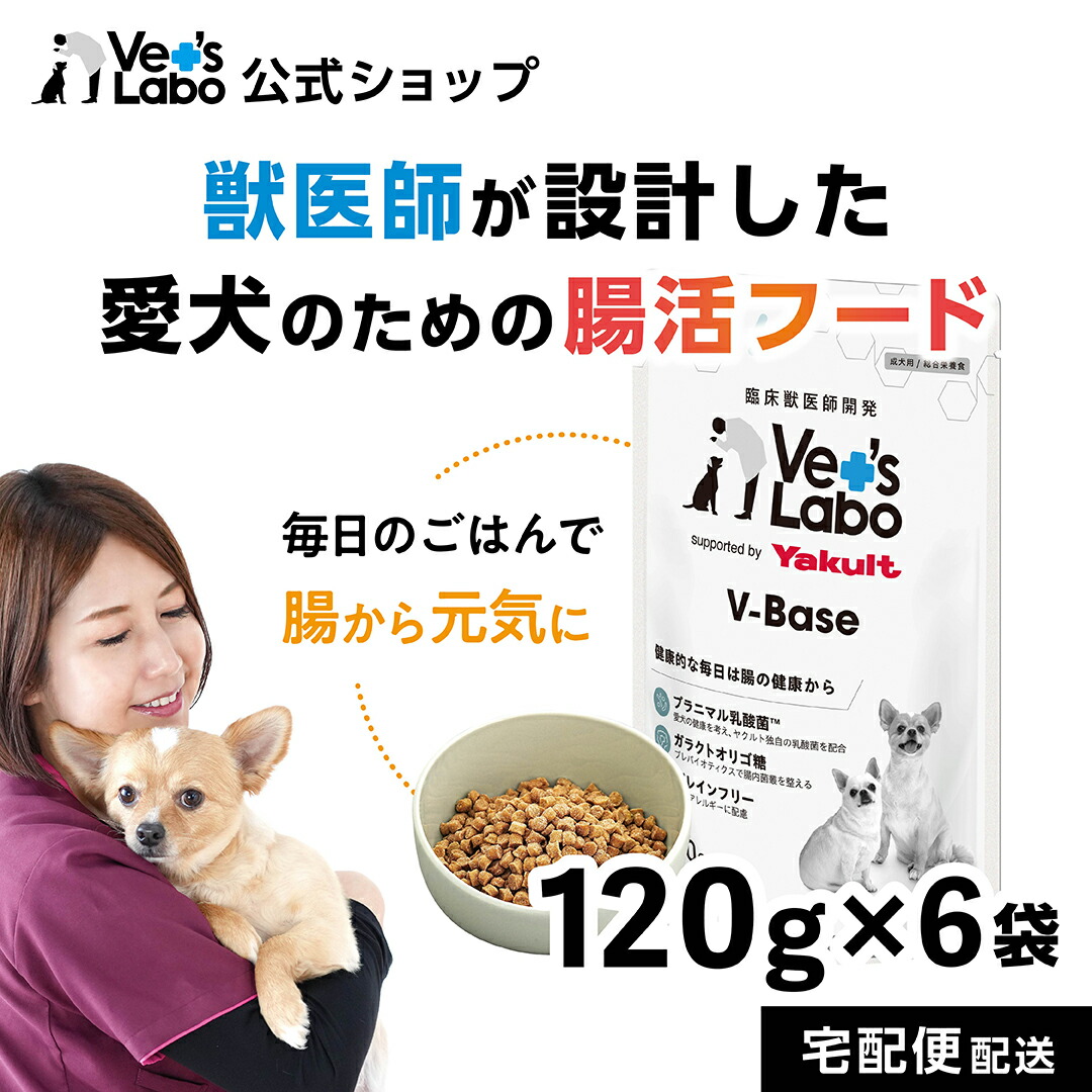【ポイント5倍】公式 V-Base ブイベース 犬用 120g×6袋 【Vet's Labo】ドライフード ごはん 総合栄養食 国産 ノンオイルコーティング グレインフリー プラニマル乳酸菌 ガラクトオリゴ糖 腸内環境 腸活 ヤクルト本社 supported by Yakult ベッツラボ 獣医師開発