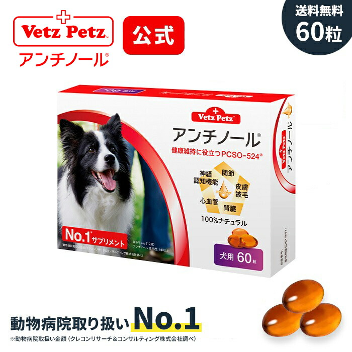 楽天市場】【ベッツペッツ 公式 正規品 】 アンチノール プラス 犬用 