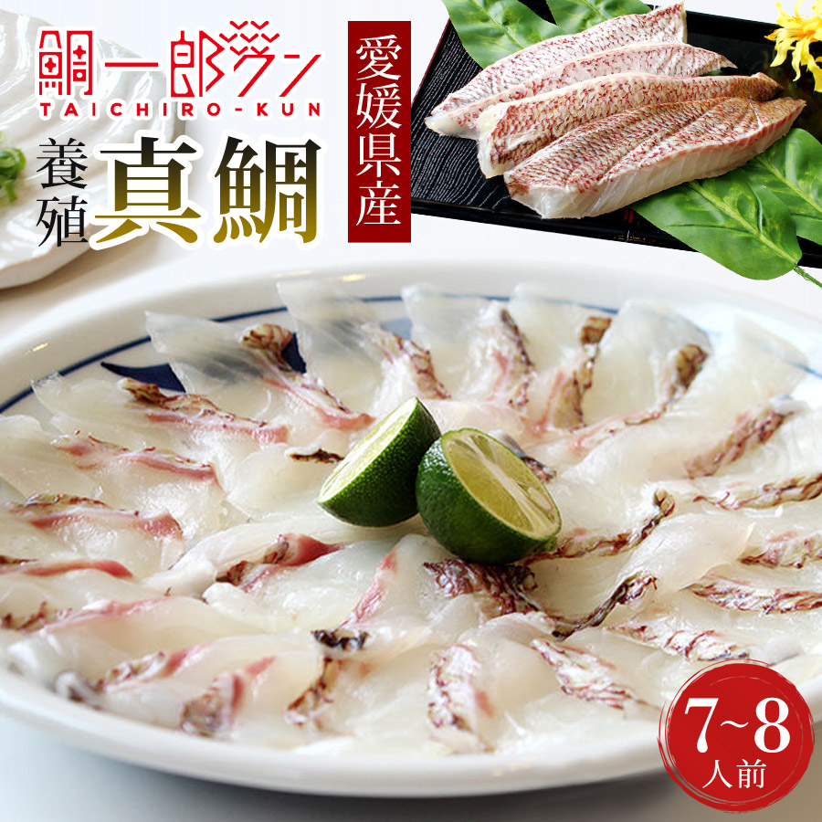 真鯛 鯛一郎クン 愛媛県宇和島産 7～8人前 冊 皮あり4枚 冷凍 下処理済み 養殖鯛 原魚(捌く前の魚)1.8～2.2kg タイ 刺身 しゃぶしゃぶ 煮魚 塩焼 魚 魚介類 海鮮 水産 グルメ 食品 父の日 母の日 敬老の日 お歳暮 お中元 【代引不可】
