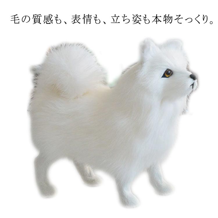 楽天市場】犬 ぬいぐるみ リアル 本物 そっくり かわいい サモエド犬