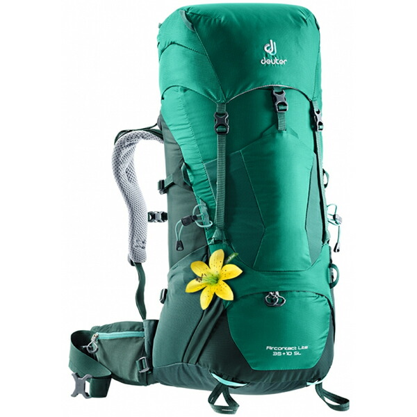 【楽天市場】ドイター Deuter エアコンタクト ライト 35+10 SL アルパイングリーン×フォレスト [バックパック][ザック