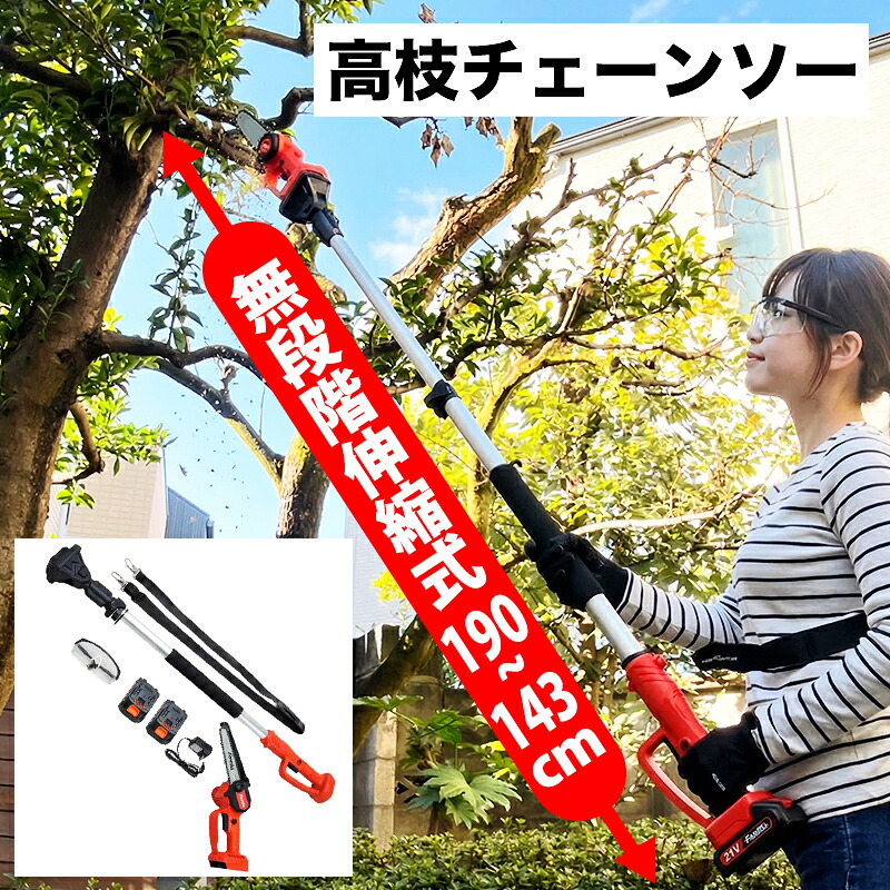 高枝 チェーンソー 充電式 コードレス 2WAY 高枝チェーンソー 高枝 電動 ノコギリ のこぎり チェーンソー ハンディ 枝切り 剪定 ガーデニング 園芸 ファミリーライフ テレビショッピング 放送【レビュー投稿で特典配布】｜VickyPlaza　店