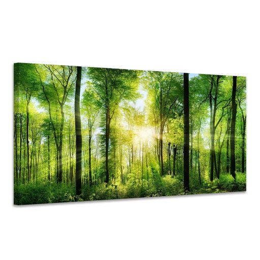 楽天市場】山 絵 森林 ポスター 太陽 壁掛け 自然 風景 アート パネル
