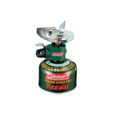 ひら様36 一枚 886244_m.jpg