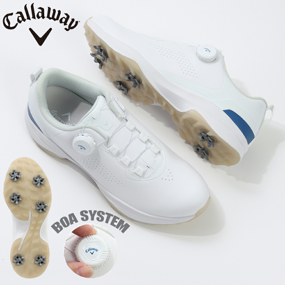 楽天市場】デサントゴルフ（DESCENTEGOLF）（メンズ）ゴルフシューズ