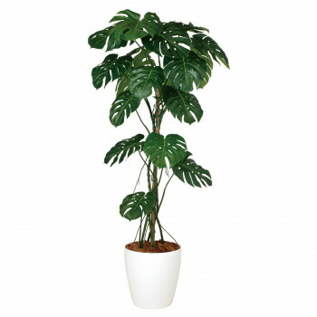 人工樹木 人工樹木 北海道 離島 沖縄は送料別 送料込 観葉植物 代引 同梱 ラッピング不可 生活雑貨のお店 Vie Up空間演出などに活躍する人工樹木 Toka 東北花材 花 観葉植物 モンステラバイン