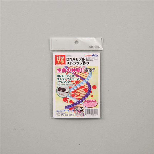 (まとめ)アーテック DNAストラップ作り 【×30セット】|生活雑貨のお店!Vie-UP
