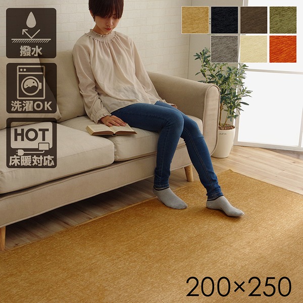 分かりやすい 引っ敷き/引っ敷き 【矩形 無地 薄墨色 約200×250珊】 洗える 撥水 防滑 熱っぽい引っ敷き相応う 〔リビング〕【代引不可】