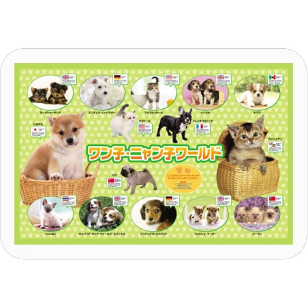 楽天市場】(まとめ) TANOSEE PVCデスクマット ダブル(下敷付 楽天市場】(まとめ) TANOSEE PVCデスクマット ダブル(下敷付