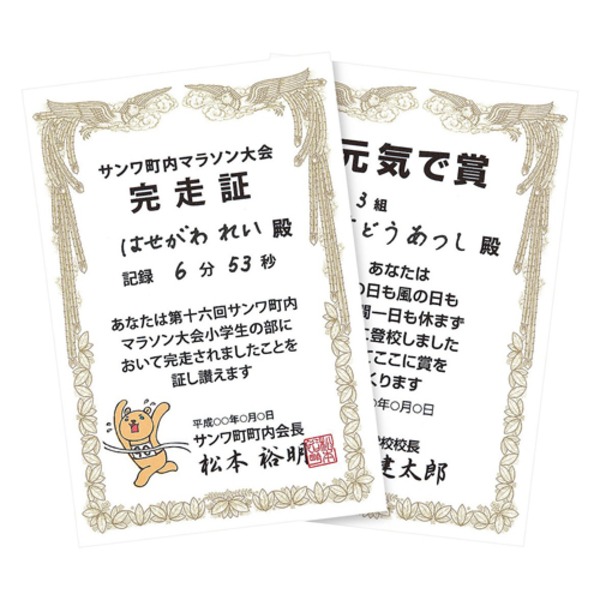 10個仕掛けるサンワサプライ インクジェット手作り表彰状質問用紙（私製絵はがき・縦） JP-SHHKTNX10
