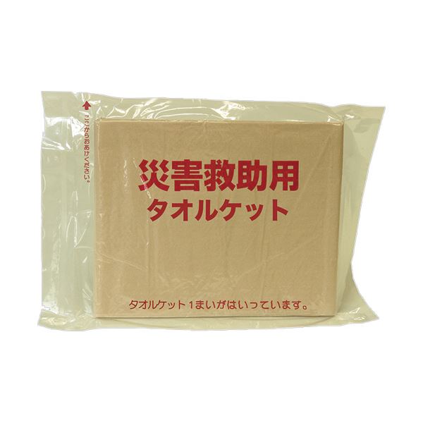 ニッケ商事 難燃性タオルケットNT70532 1入れもの(10枚)