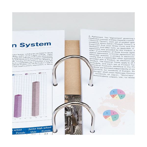 まとめ TANOSEE保存用レバー式アーチファイルN A4タテ 背幅77mm 送料無料 24冊 1セット 赤