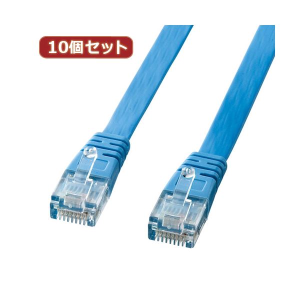 10個仕掛ける サンワサプライ UTPエンハンスドカテゴリ5より線平ったい有線テレビ（ともし火青み・2m） 天使の都市-FL5-02LBKX10