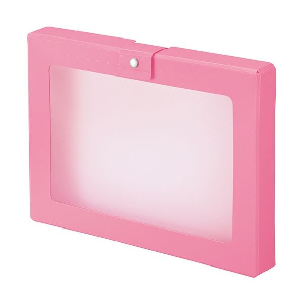 (まとめ) リヒトラブ CUBE FIZZ ハンドケース A4 ピンク A-699-12 1個 【×5セット】