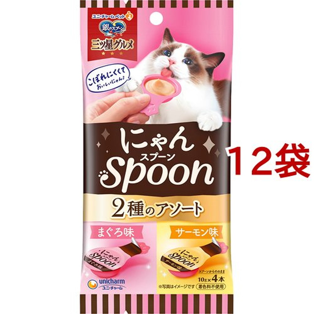 銀のスプーン 三ツ星グルメ 猫用 おやつ にゃんSpoon 2種 まぐろ味 サーモン味 10g 4本入 12袋セット 北海道 沖縄 離島は別途送料  期間限定特価品