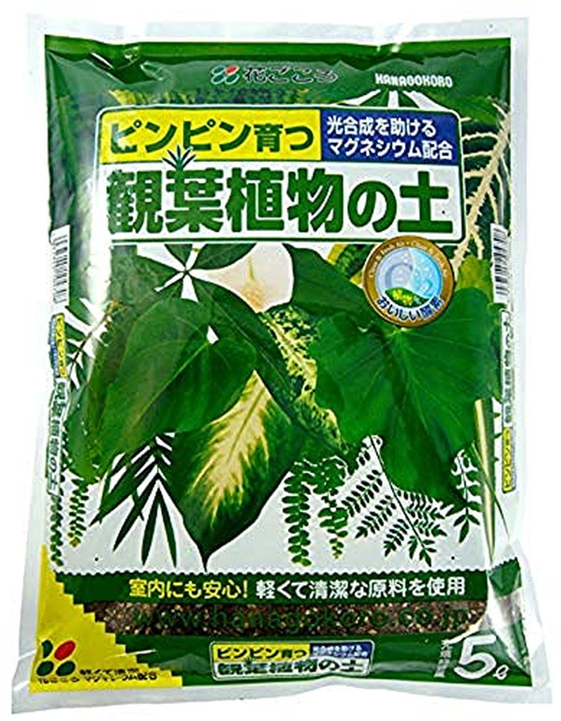 140円 素晴らしい外見 花ごころ 水生植物の土 2L 140円 素晴らしい外見 花ごころ 水生植物の土 2L