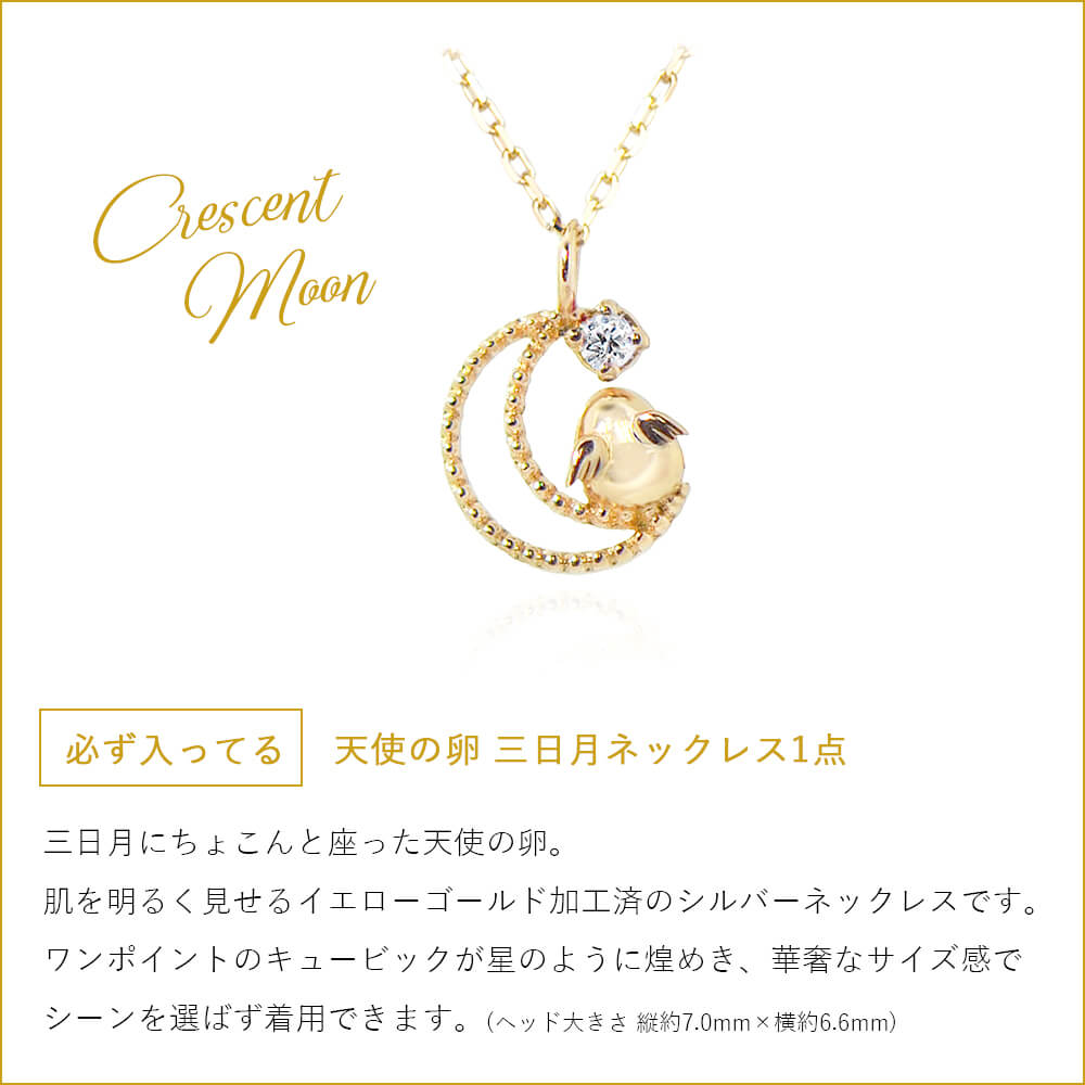 予告 12月14日15時 予約開始 福袋 21 レディース 天使の卵 アクセサリー 福袋 数量限定 福袋 ジュエリー シルバー アクセサリー ネックレス 人気 21年 ハッピーバッグ 女性 ネックレス レディース 雑貨 Fuku21 Tenshi