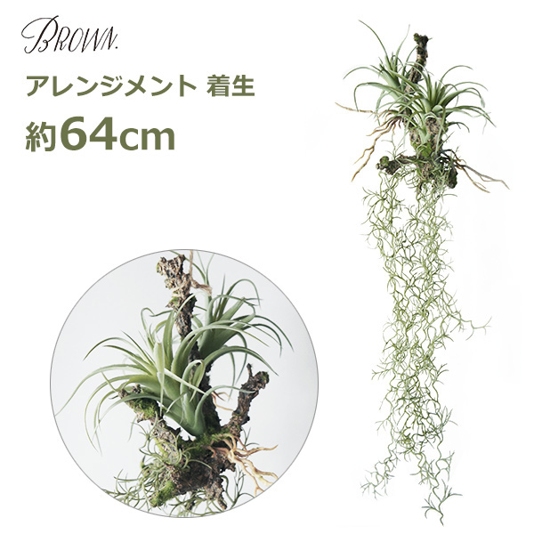 楽天市場】最大100%ポイントバック フェイクグリーン 観葉植物 人工