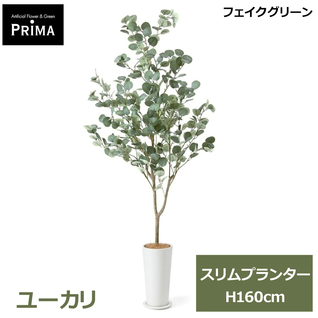 フェイクグリーン 観葉植物 人工観葉植物 造花 大型 グリーン ユーカリ スリムプランター H172cm インテリア 鉢付き おしゃれ カフェ 植物 PRGR-1256 GREENPARK 送料無料 くすみカラー アクセント 上品 人工植物 グリーンパ｜viewgarden ビューガーデン