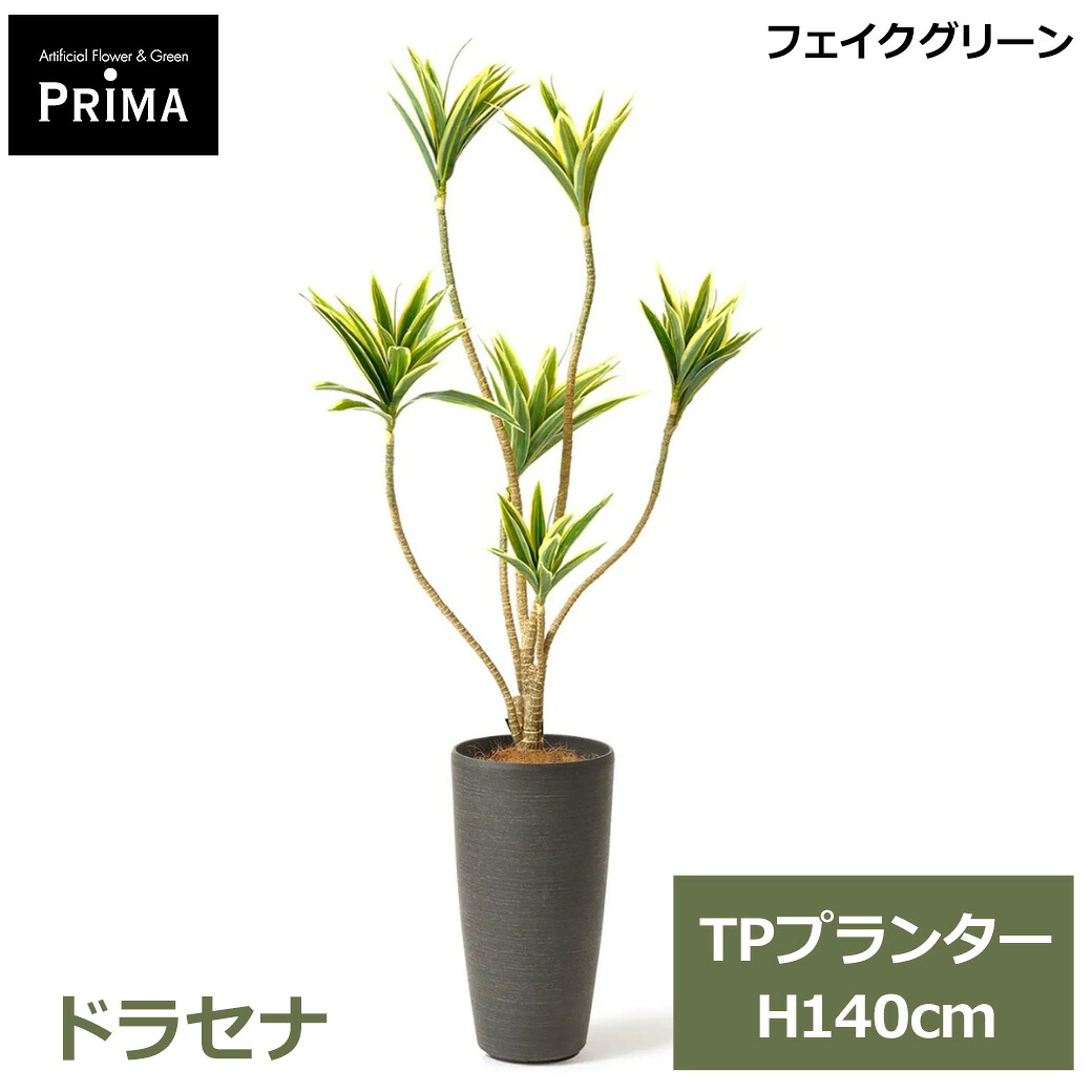 最大100%ポイントバック&最大3,000円OFFクーポンあり フェイクグリーン 観葉植物 人工観葉植物 造花 卓上 グリーン ドラセナ コンシンネ TPプランター H138cm 真実の木 インテリア おしゃれ PRGR-1362 GREENPARK 送料無料 鉢付き リビング エントランス ショップ 店舗 魔除け