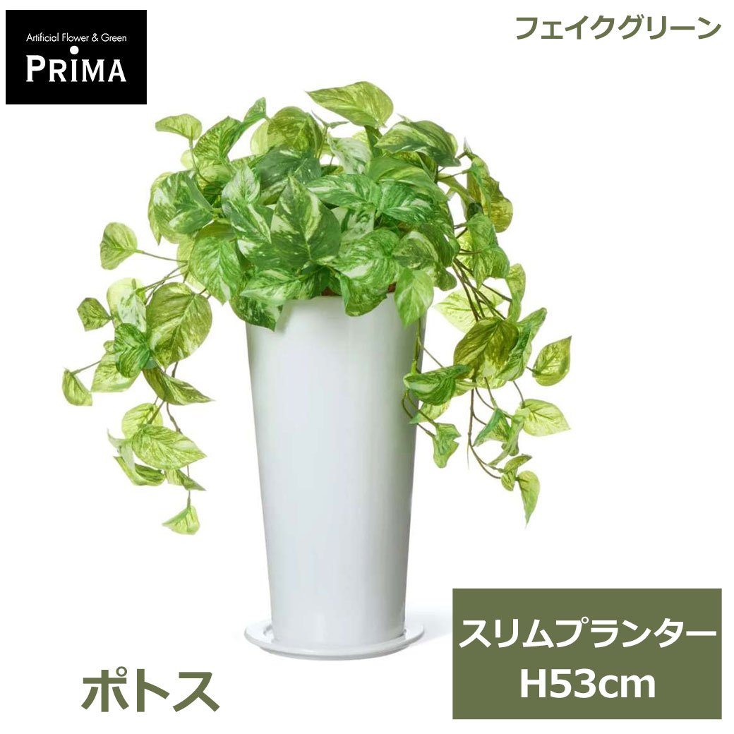 フェイクグリーン 観葉植物 人工観葉植物 造花 ポトス スリムプランター H53cm 植物 グリーン おしゃれ 人気 インテリア PRGR-1462 グリーンパーク GREENPARK 送料無料 フェイク 人工植物 花言葉 永遠の富 華やかな明るさ プレゼン｜viewgarden ビューガーデン
