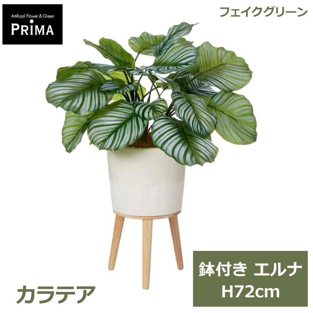 フェイクグリーン 観葉植物 人工観葉植物 造花 カラテア エルナ H72cm 植物 グリーン おしゃれ インテリア 人気 人工植物 PRGR-1635 グリーンパーク GREENPARK 送料無料 フェイク プレゼント ギフト シンプル 北欧 花言葉｜viewgarden ビューガーデン