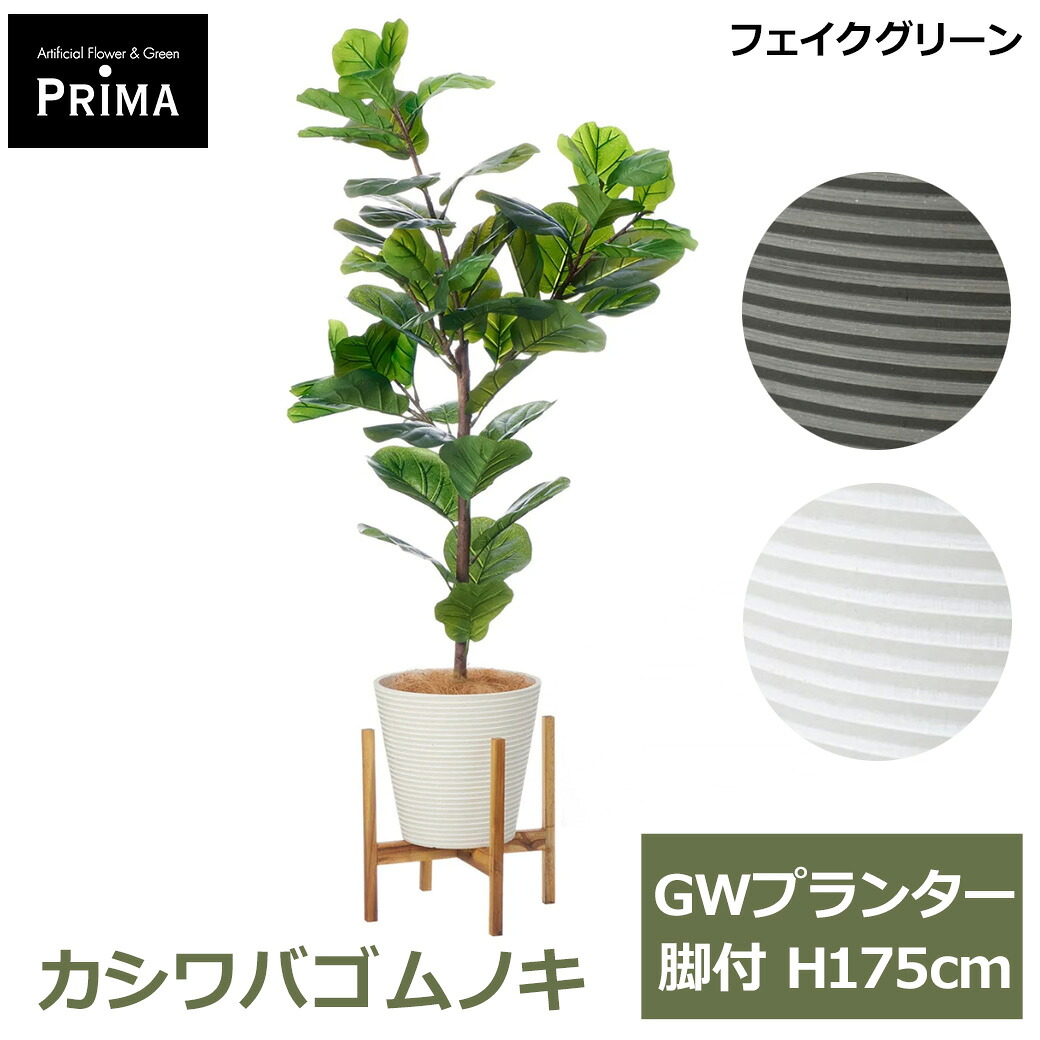 フェイクグリーン 観葉植物 人工観葉植物 造花 カシワバゴムノキ GW プランター 脚付 H160cm 植物 大型 ウッドスタンド フェイク グリーン PRGR-1711 GREENPARK 送料無料 人気 グリーンパーク インテリア プレゼント ギフト｜viewgarden ビューガーデン 35,750円