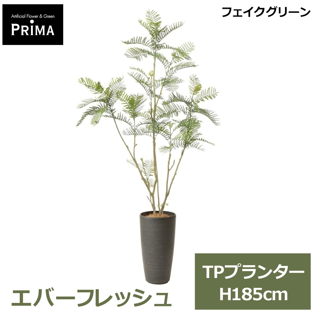 フェイクグリーン 観葉植物 人工観葉植物 造花 エバーフレッシュ TP プランター H175cm 植物 大型 鉢付き 和モダン 北欧 グリーン フェイク PRGR-1765 GREENPARK 送料無料 インテリア 人気 グリーンパーク プレゼント ギフト シン｜viewgarden ビューガーデン