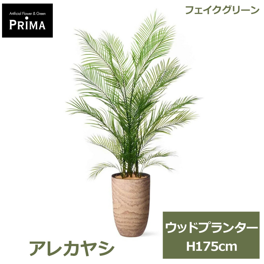 夏のおくりもの