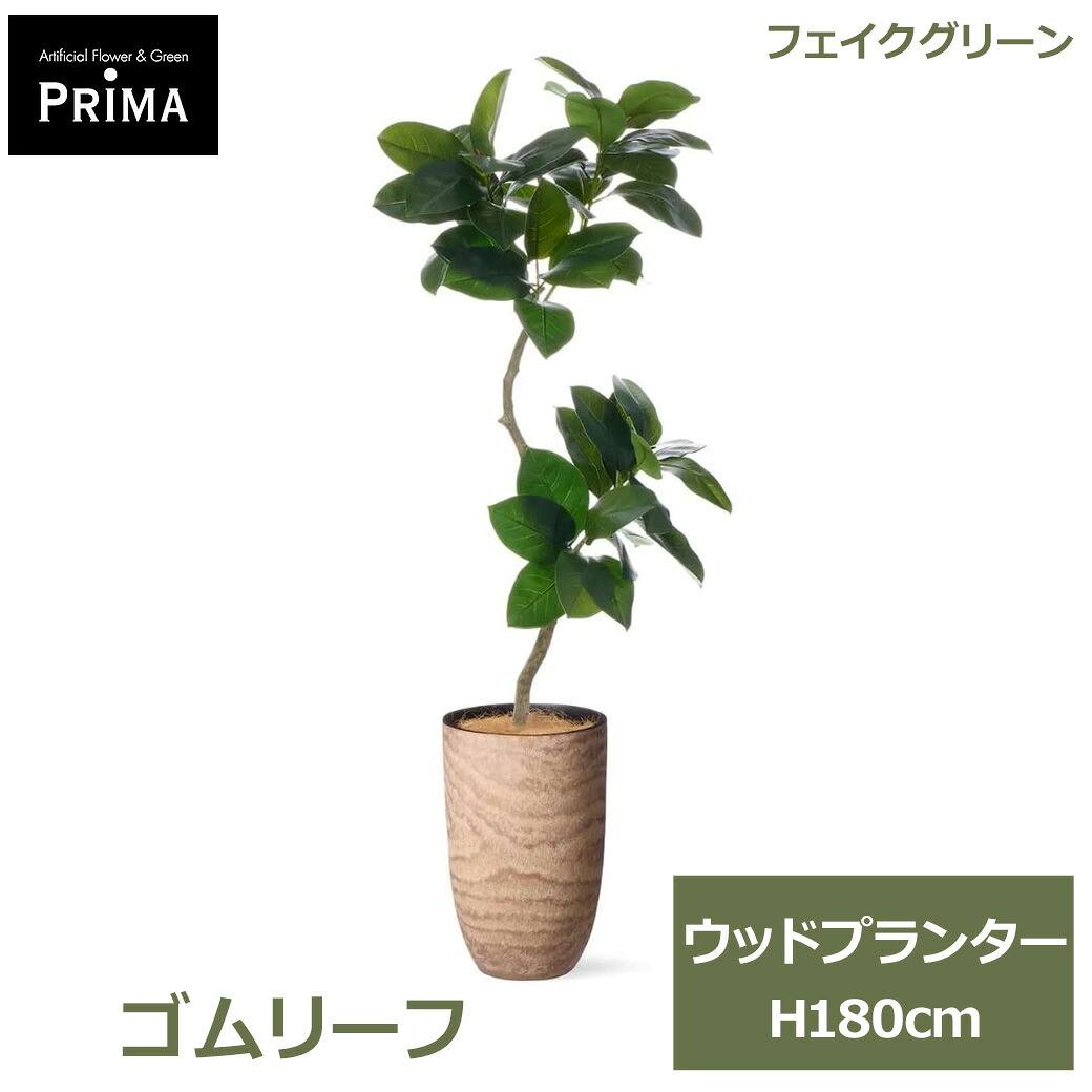 夏のおくりもの