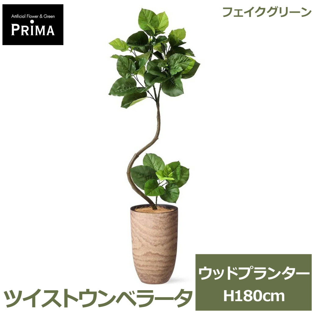 夏のおくりもの