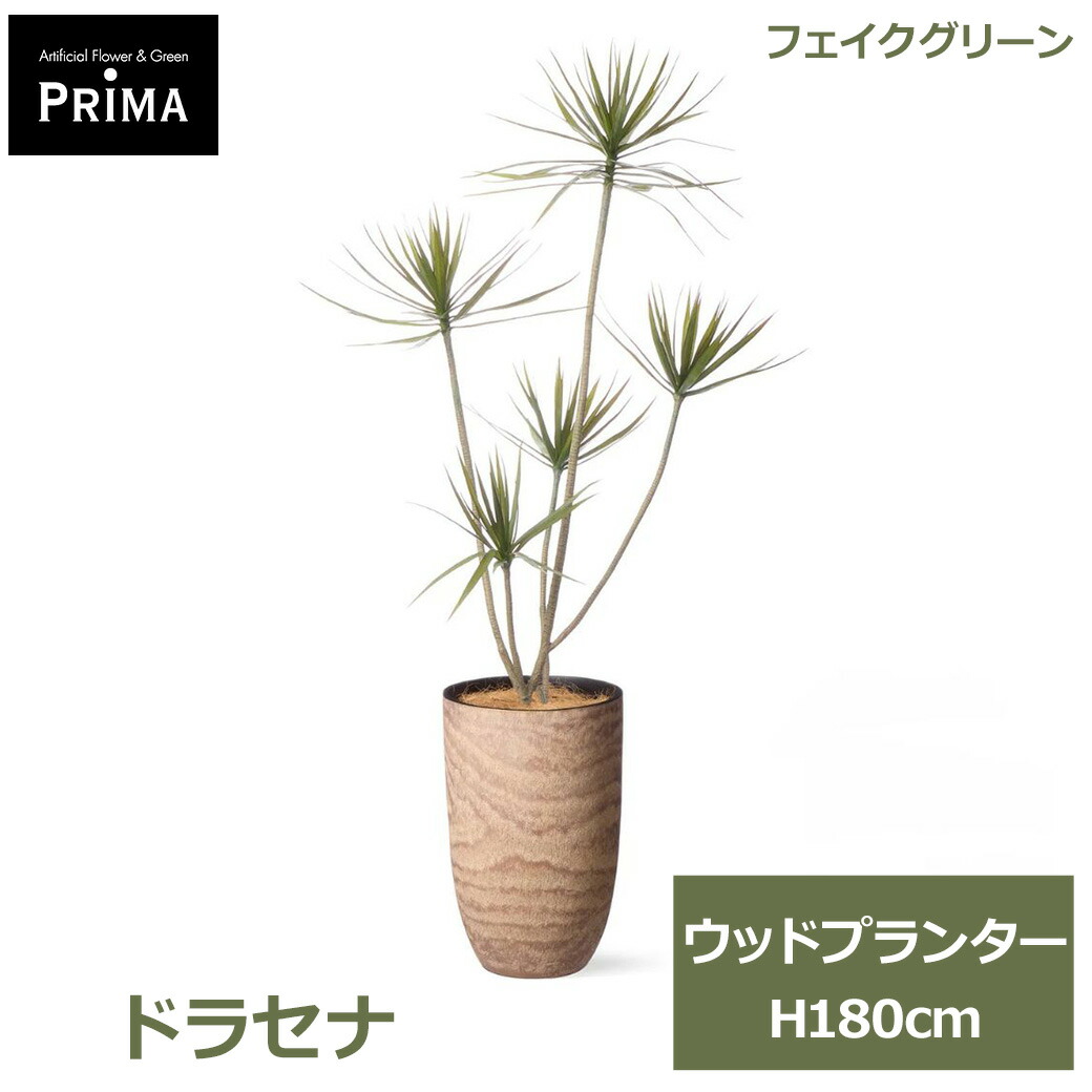 夏のおくりもの