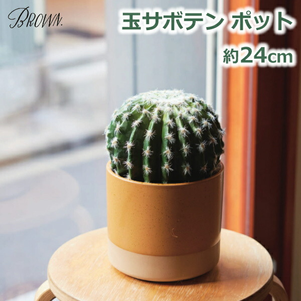 サボテンと人工花の装飾用植物 10401492_main.jpg