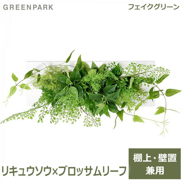 夏のおくりもの