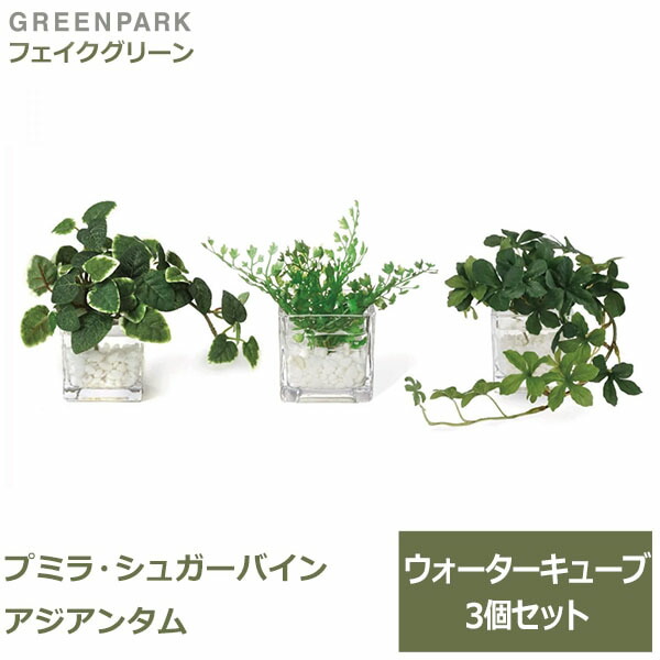 楽天市場】最大100%ポイントバック&450円OFFクーポン フェイクグリーン