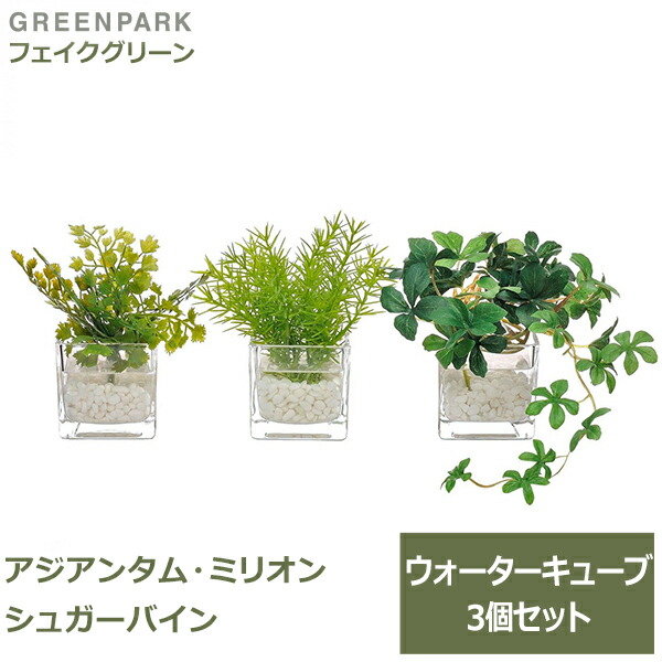 父の日特集