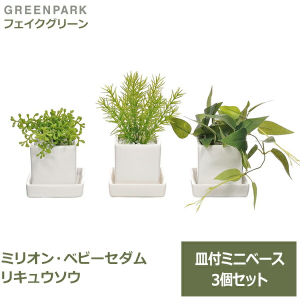 フェイクグリーン ミニ 観葉植物 造花 ミリオン ベビーセダム リキュウソウ 皿付 ミニベース 3個セット 台所 キッチン 洗面所 トイレ 玄関 Greenpark Prgr 1196 卓上 消臭 防カビ 机 リアル グリーンパーク 植物 人工観葉植物 人口植物 プレゼント ギフト シンプル Maf フェイクグリーン ミニ 観葉植物 造花 ミリオン ベビーセダム リキュウソウ 皿付 ミニベース 3個セット 台所 キッチン 洗面所 トイレ 玄関 Greenpark Prgr 1196 卓上 消臭 防カビ 机 リアル グリーンパーク 植物 人工観葉植物 人口植物 プレゼント ギフト シンプル Maf