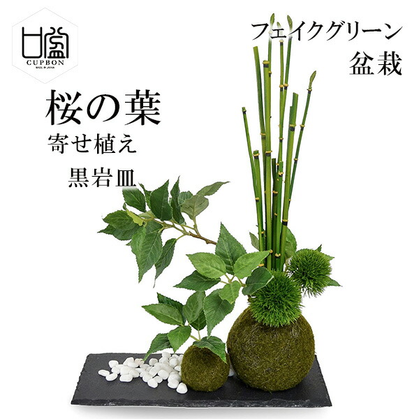 盆栽 桜の葉 トクサ マリモ 苔玉 セットフェイクグリーン 人工 観葉植物 造花 Cupbon 黒岩皿 寄せ植え Prgr 1079 和室 モダン ディスプレイ アレンジメント インテリア お祝い リアル 手作り おしゃれ ギフト プレゼント 人気 誕生日 還暦 苔 コケ室内 プレート