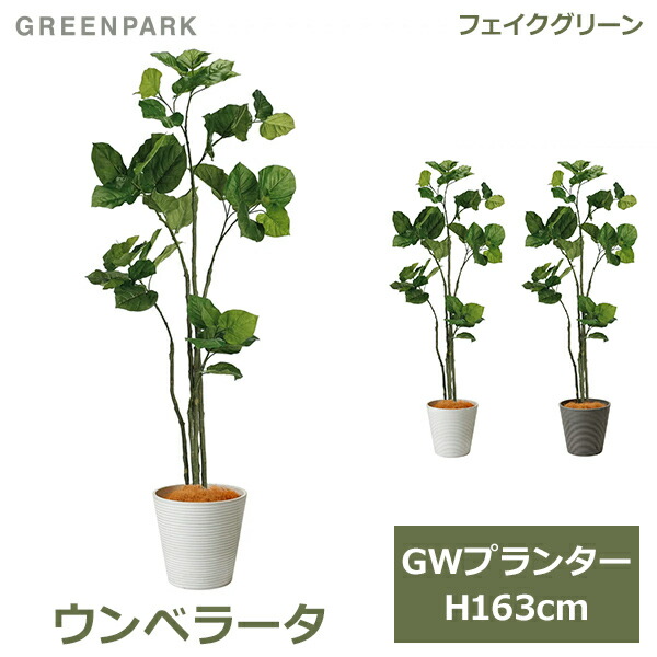 最大100%ポイントバック フェイクグリーン 観葉植物 人工観葉植物 造花 大型 ウンベラータ フィカス GW プランター 163cm 植物 おしゃれ 鉢付き オフィスグリーン PRGR-1265 GREENPARK 送料無料 鉢セット ポット付き カフェ ショップ 出産祝い 母の日 結婚