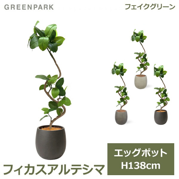 夏のおくりもの