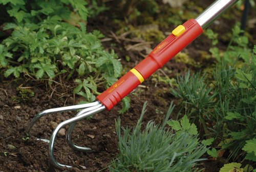 凡庸さくわ 三ネールくわ くわ オオカミガル十 Wolf Garten Ba M ガーデニングエクイップメント 土ならし 不具合掘り 土掘り 畝新築 把手 別売り ガーデニング 雑貨 道具 園芸 庭 格好良い 庭 農作業 耕種 庭用品 ガーデン雑貨 ガーデン 農具 家庭菜園 道具 Foxunivers Com