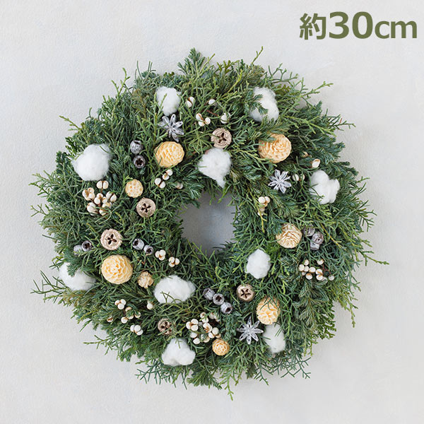 楽天市場】最大1000円OFFクーポン&100%ポイントバック クリスマス