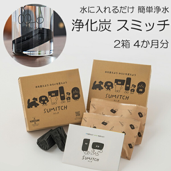 楽天市場】【最大100%ポイントバック！※条件あり】浄水 炭